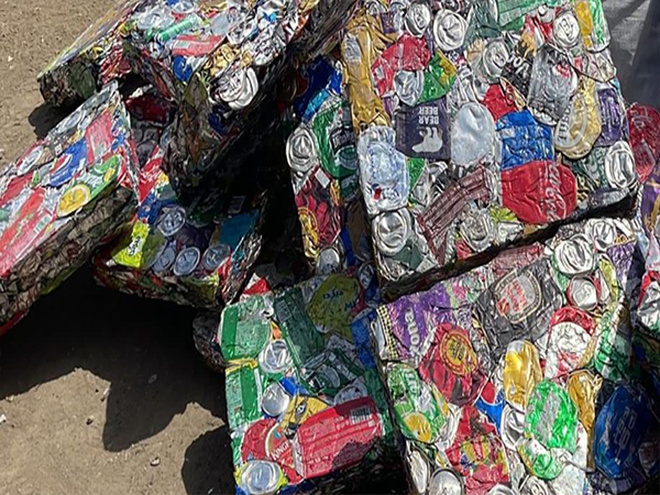 Toy car exploring offroad.